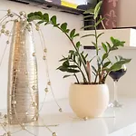 Lavanda Apartamento Podstrana