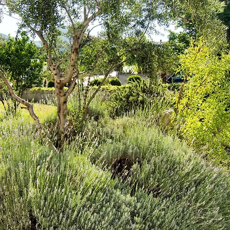 Apartamento Lavanda *