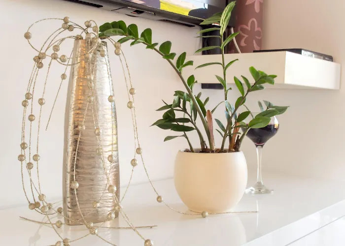 Lavanda 아파트 포드스트라나