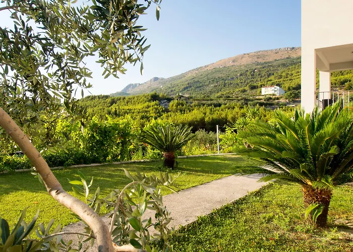 Lavanda 포드스트라나